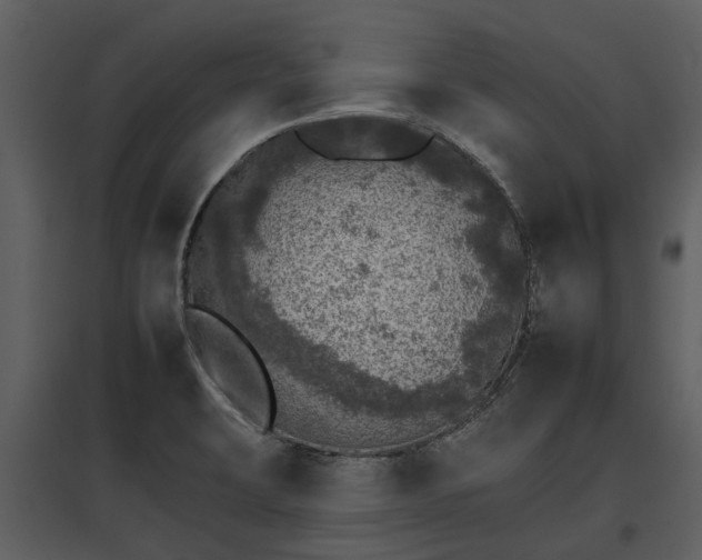 X0000095671423200801151054