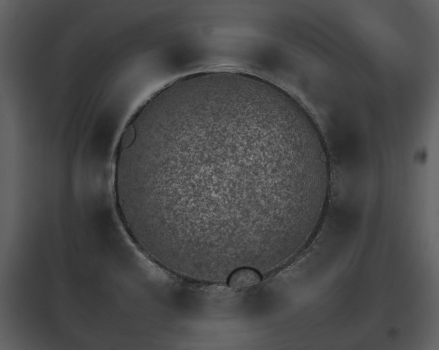 X0000095671424200801151054