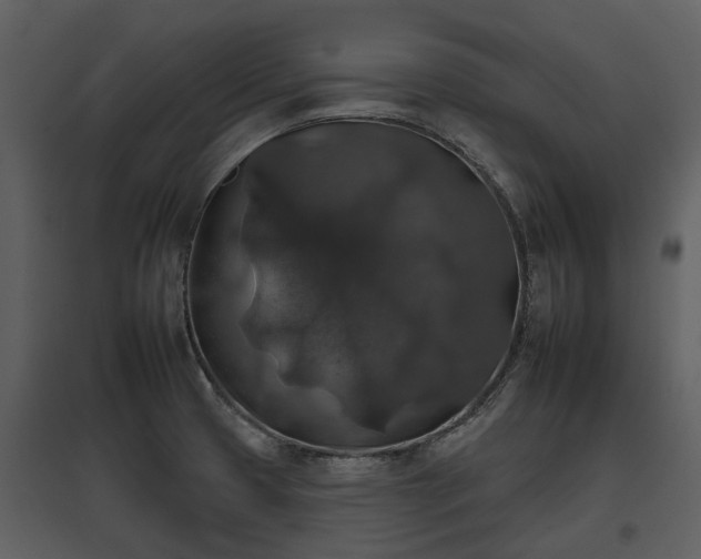 X0000095671425200801151054