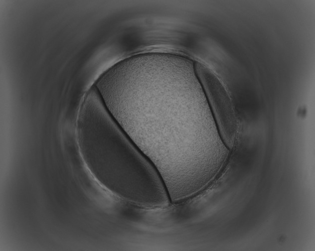 X0000095671426200801151054