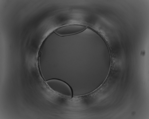 X0000095671427200801151054