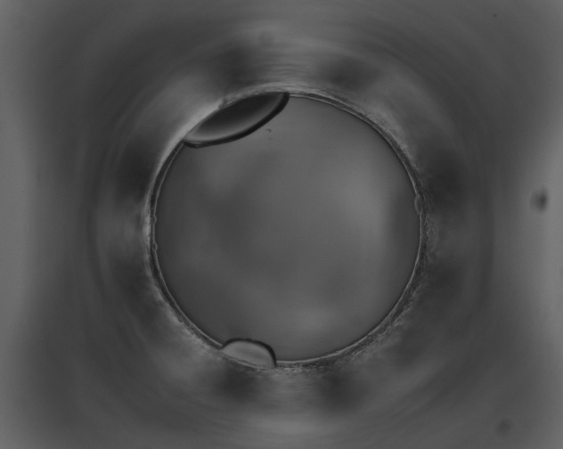 X0000095671428200801151054