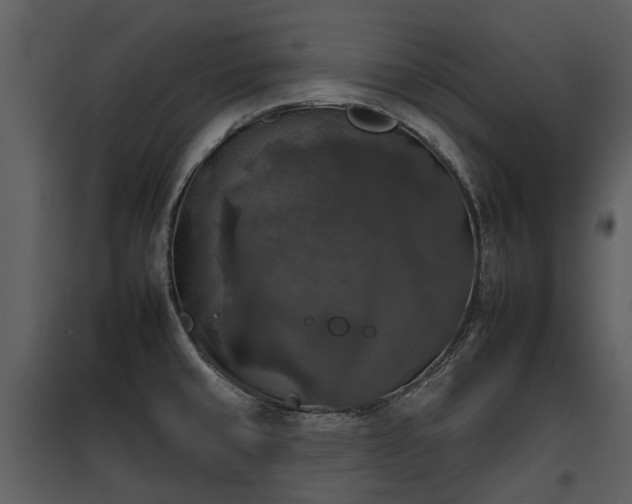 X0000095671429200801151054