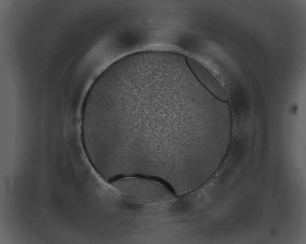 X0000095671430200801151054