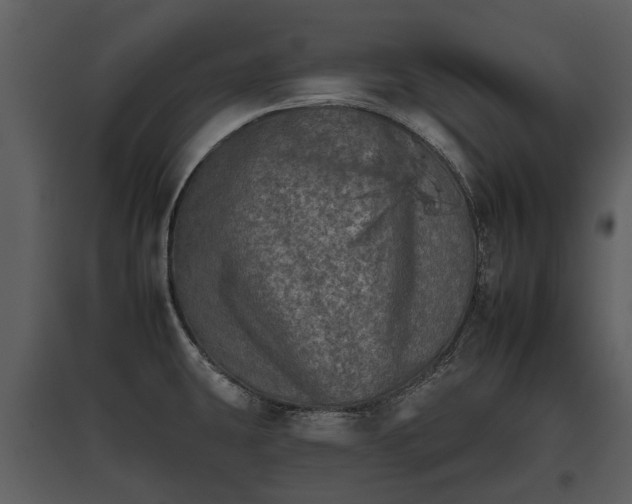 X0000095671431200801151054