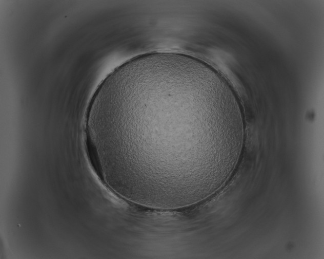 X0000095671432200801151054