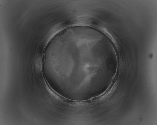 X0000095671433200801151054