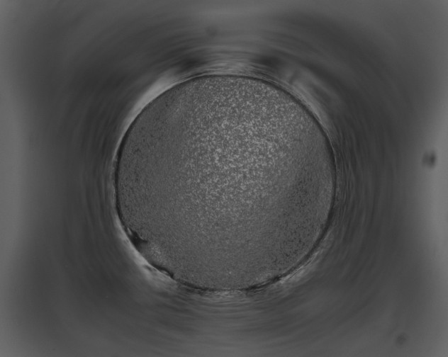 X0000095671434200801151054