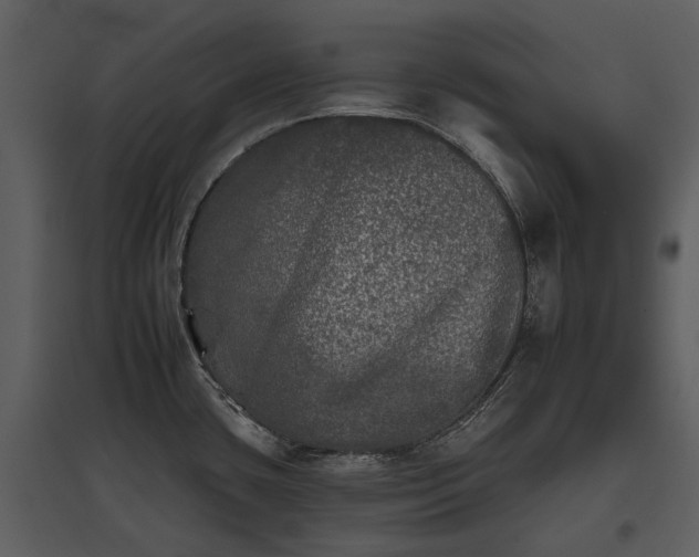 X0000095671435200801151054