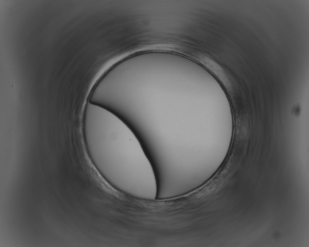 X0000095671436200801151054