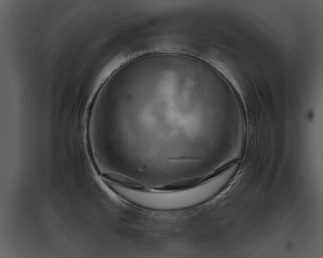 X0000095671437200801151054