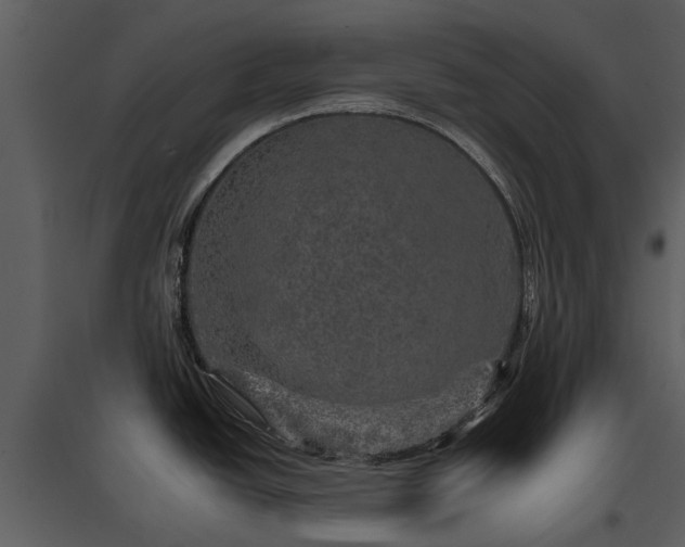 X0000095671438200801151054