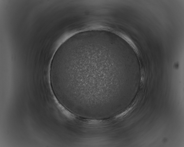 X0000095671439200801151054