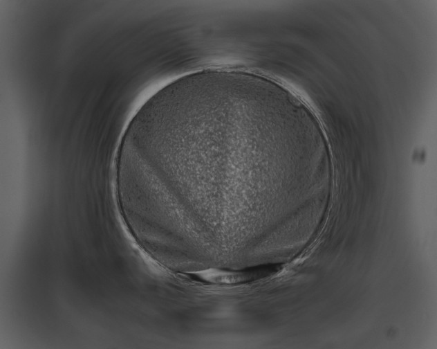 X0000095671440200801151054