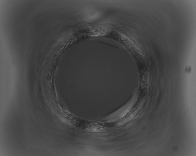 X0000095671441200801151053