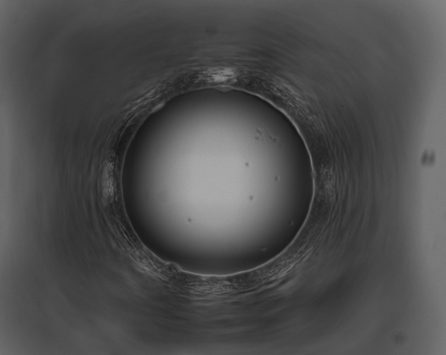 X0000095671442200801151053