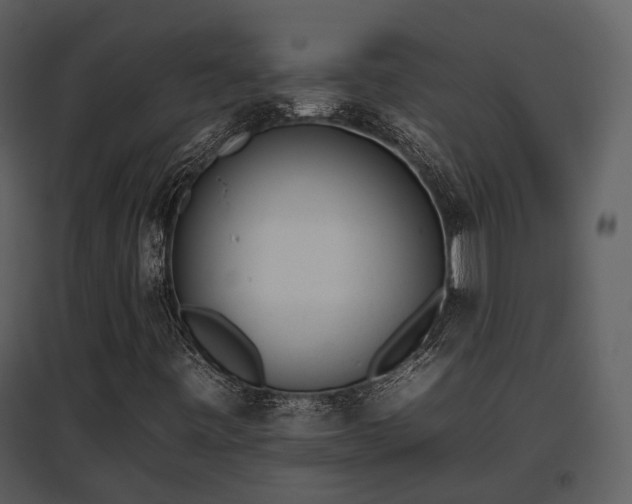 X0000095671443200801151053