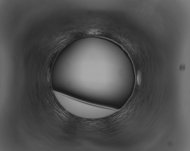 X0000095671444200801151053