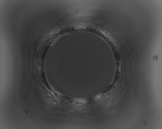 X0000095671445200801151053