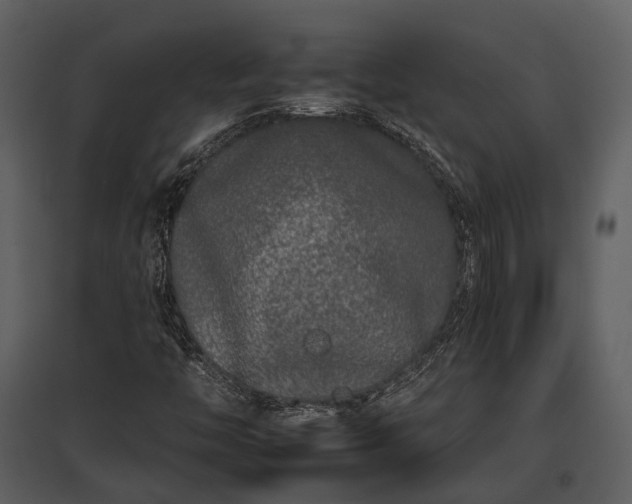 X0000095671446200801151053