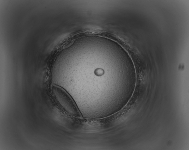 X0000095671447200801151053