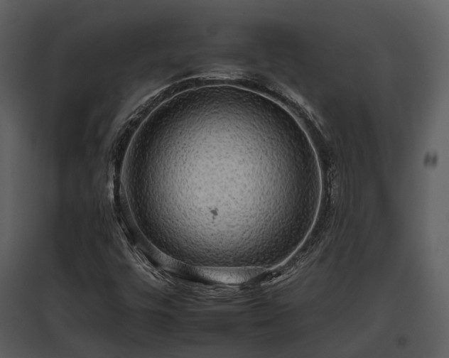 X0000095671448200801151053