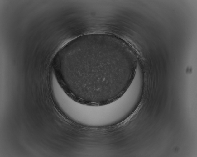 X0000095671449200801151053