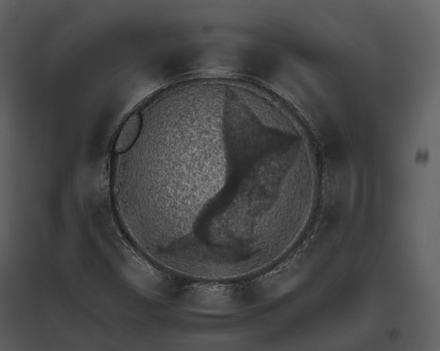 X0000095671450200801151053