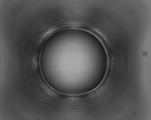 X0000095671451200801151053