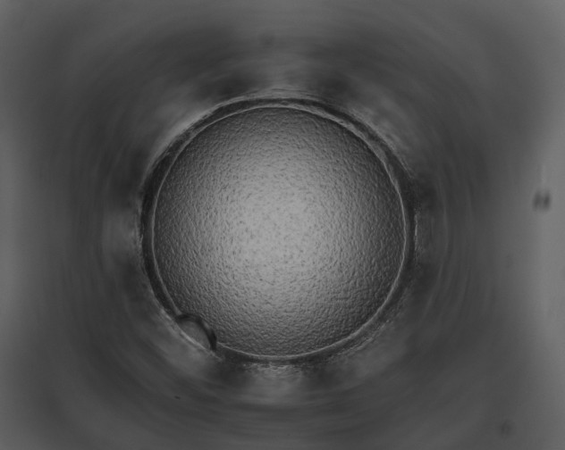 X0000095671452200801151053