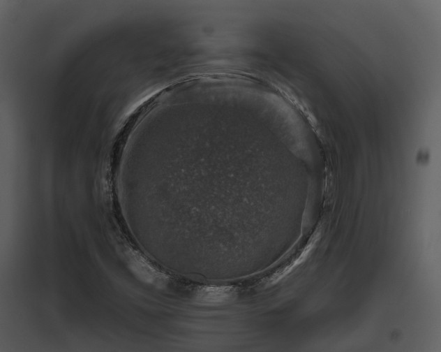 X0000095671453200801151053