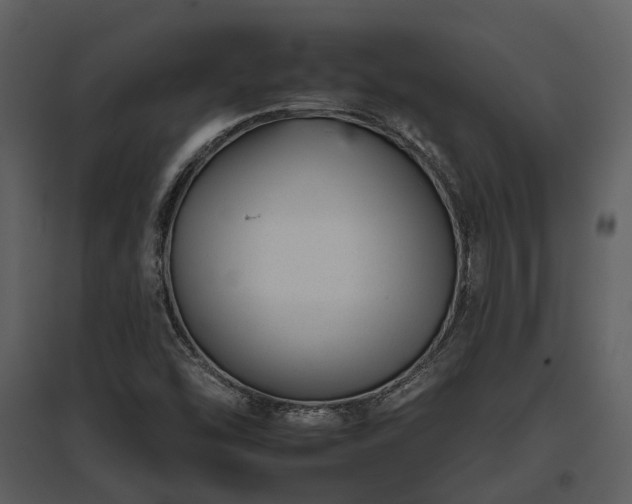 X0000095671454200801151053