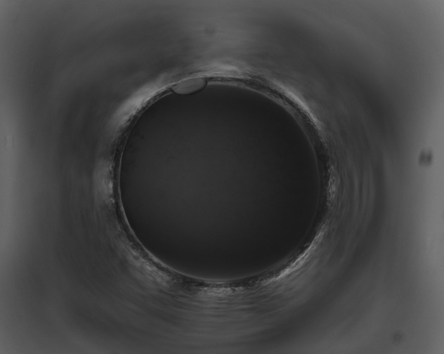 X0000095671455200801151053