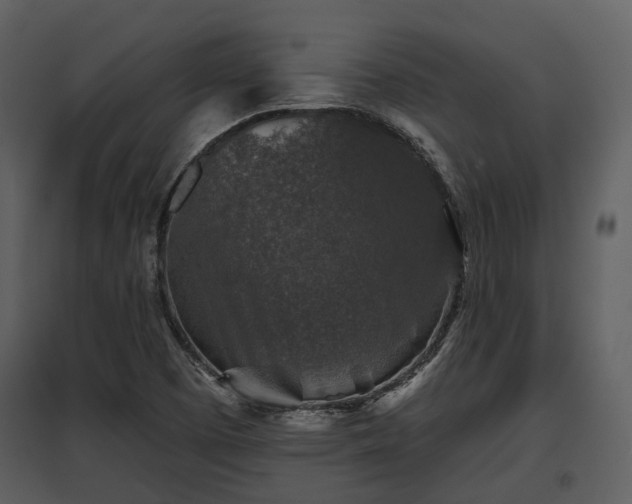 X0000095671457200801151053