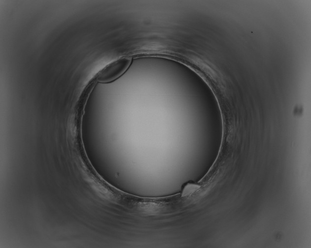 X0000095671458200801151053