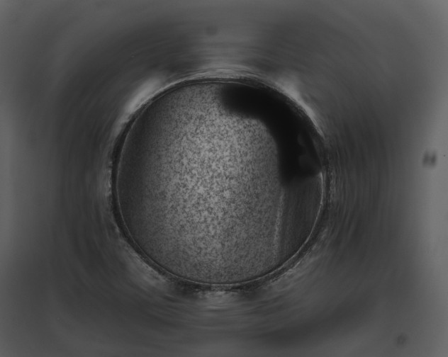 X0000095671459200801151053