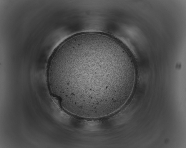 X0000095671460200801151053