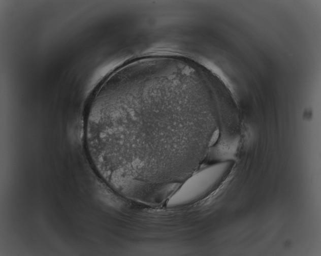 X0000095671461200801151053