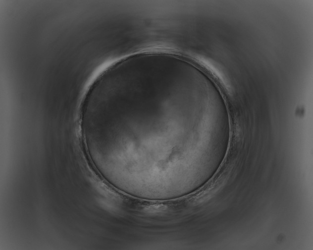 X0000095671462200801151053