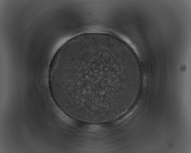 X0000095671463200801151053