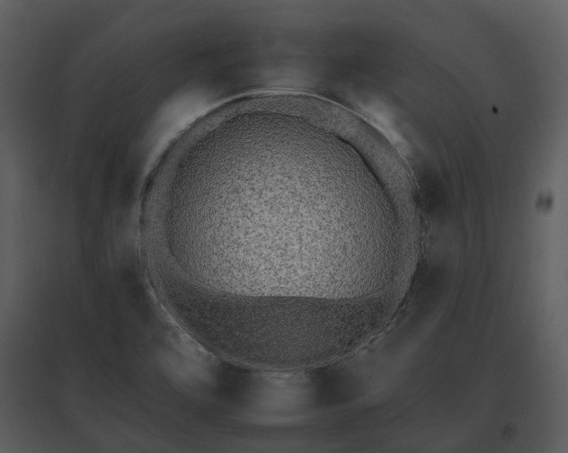 X0000095671464200801151053