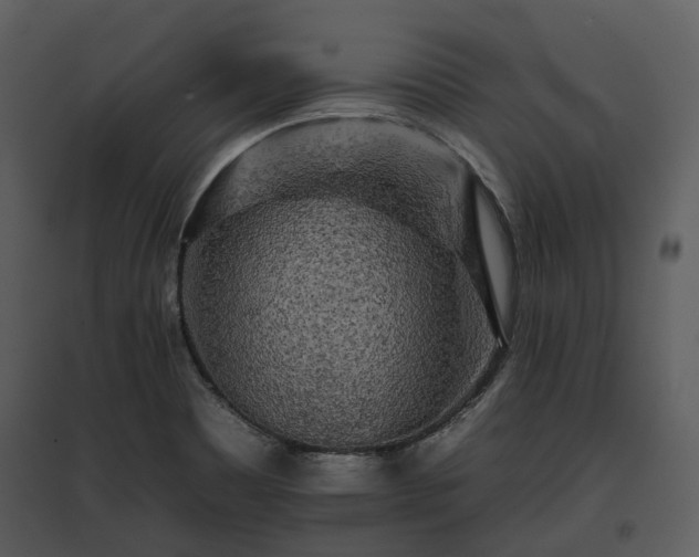 X0000095671465200801151053