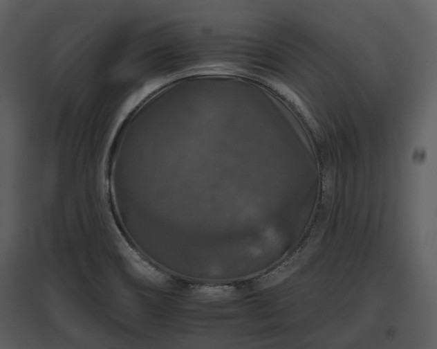 X0000095671466200801151053