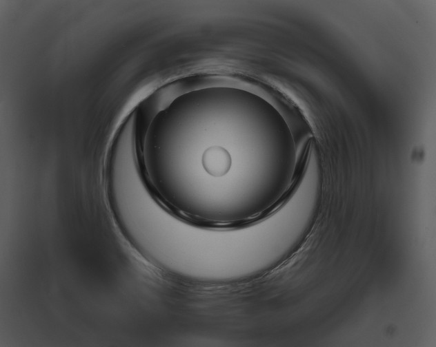 X0000095671467200801151053