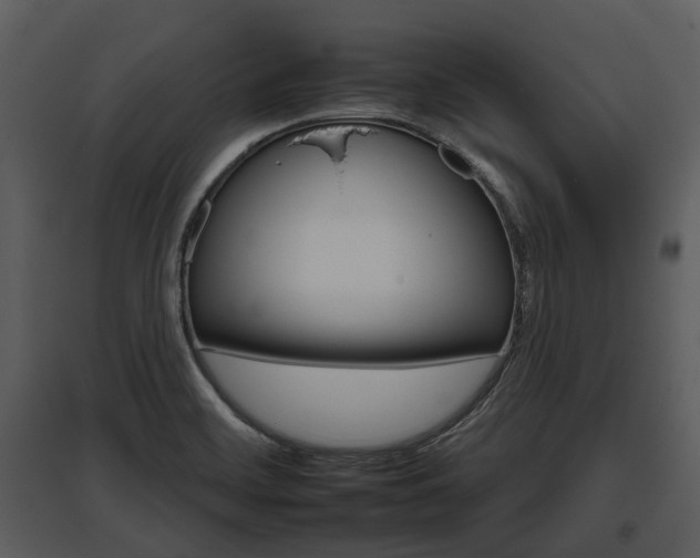 X0000095671468200801151053