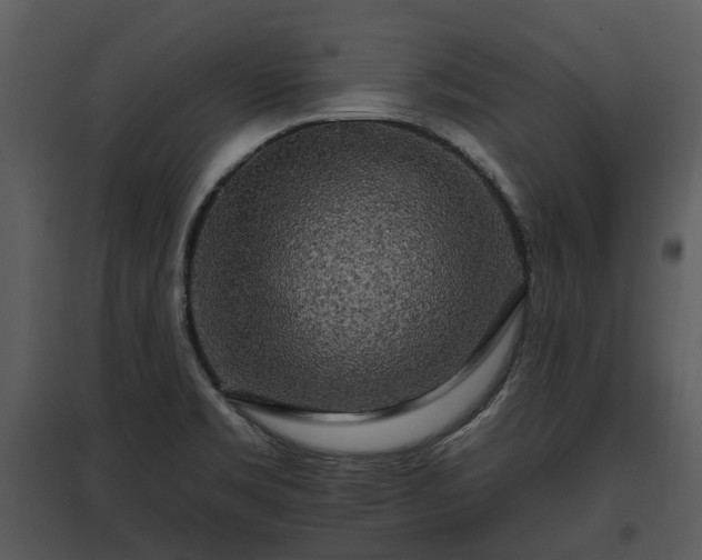 X0000095671469200801151053