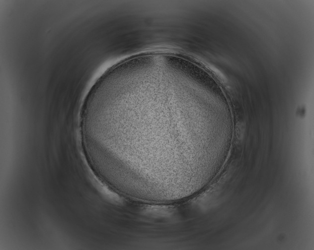 X0000095671470200801151053