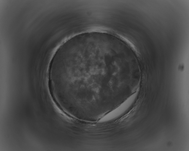 X0000095671471200801151053