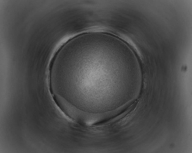 X0000095671472200801151053