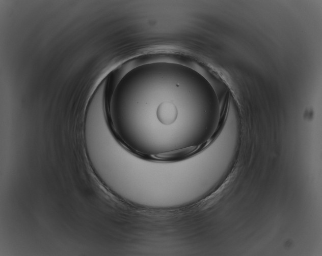 X0000095671473200801151053